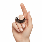 Lot 10 - Lifestyle Display Main